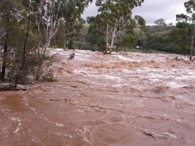 Σέρρες: Νεκρή 24χρονη που έπεσε με ΙΧ σε αρδευτικό κανάλι
